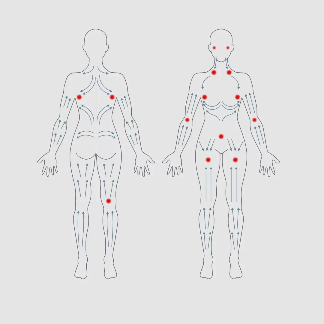 Schema delle stazioni linfatiche del corpo